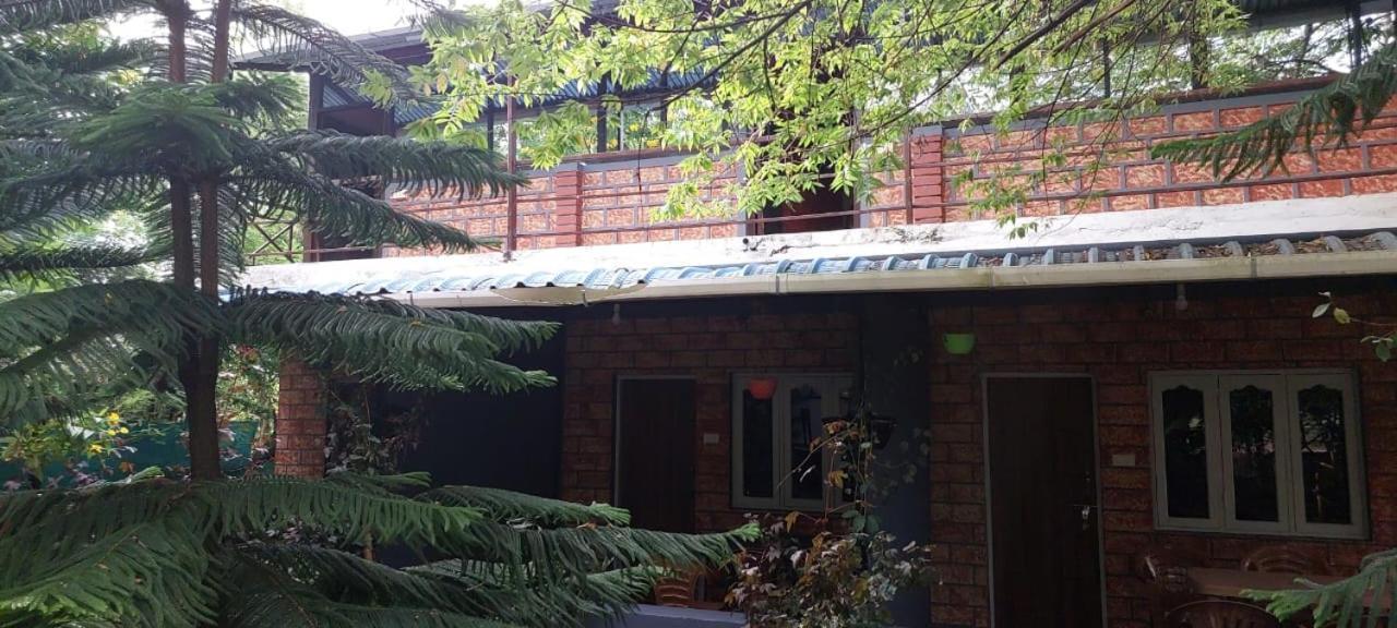 Green Hills Farm And Guest House Masinagudi Zimmer foto